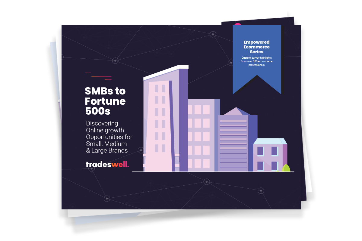 Download the SMBs vs. Fortune 500 Top Ecommerce Challenges eBook